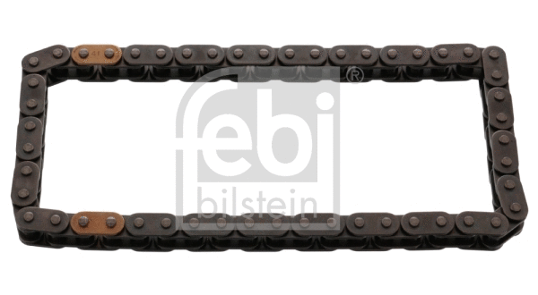 Timing Chain (48292)