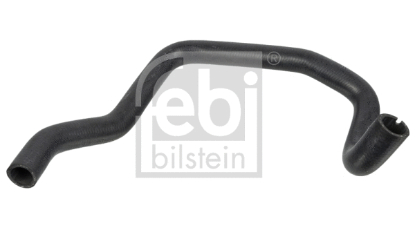 Radiator Hose (171204)