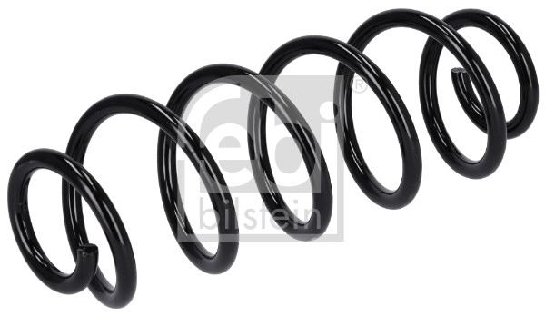 Suspension Spring (186242)