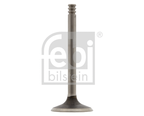 Intake Valve (28546)