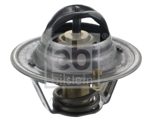 Thermostat, coolant (18973)