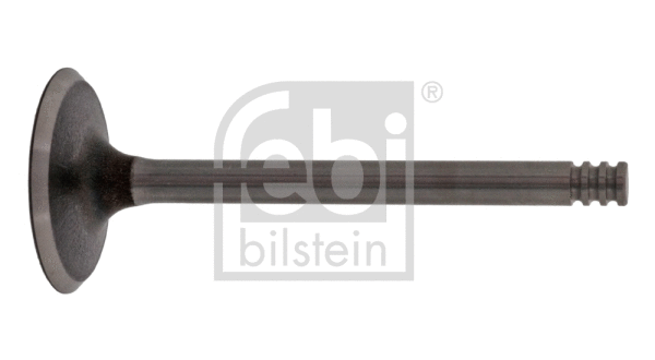 Intake Valve (21020)