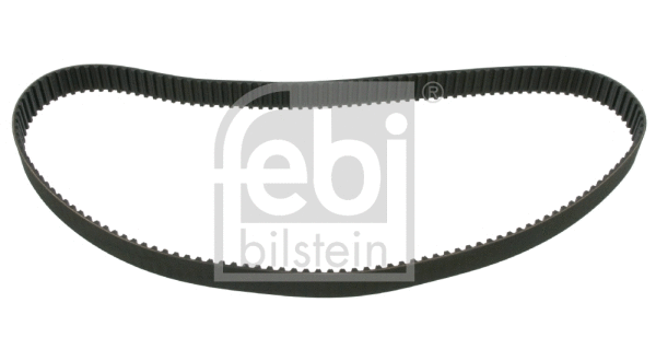 Timing Belt (19641)