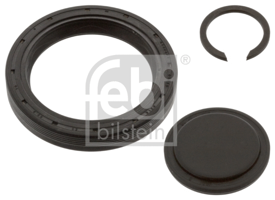 Repair Kit, manual transmission flange (02065)