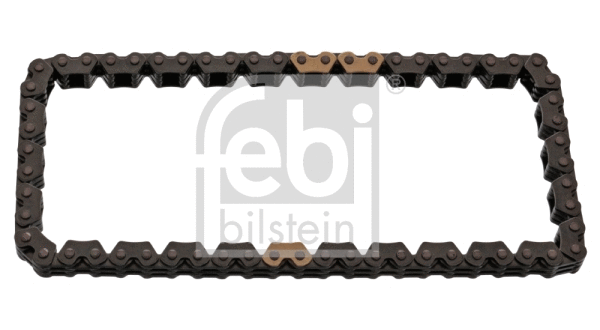 Chain, oil pump drive (48284)