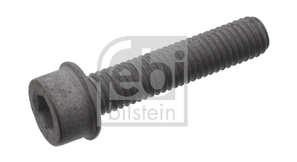 Centering Bolt, crankshaft pulley (33554)