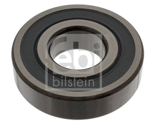 Pilot Bearing, clutch (11588)