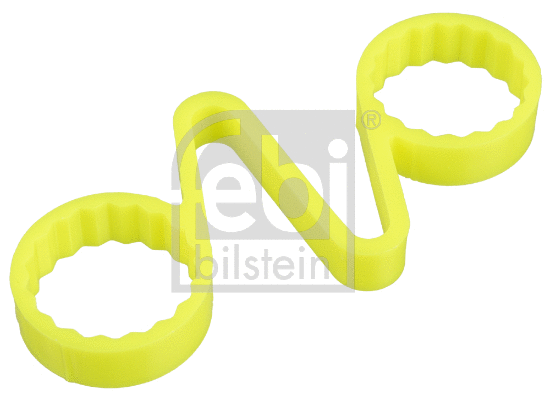 Cap, wheel nut (173260)