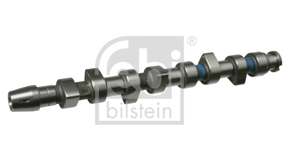 Camshaft (19738)