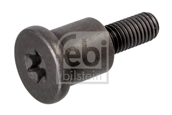 Sliding Rail Bolts, timing chain (109475)