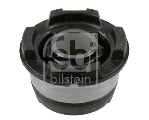 Bushing, axle beam (22957)