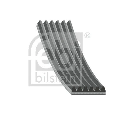V-Ribbed Belt (179884)