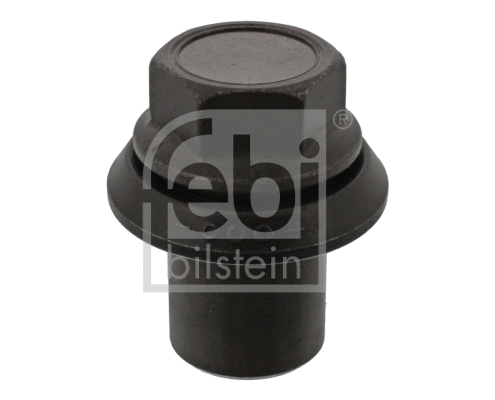 Wheel Nut (07974)