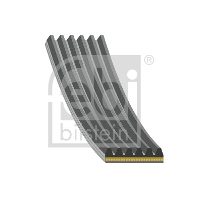 V-Ribbed Belt (183221)