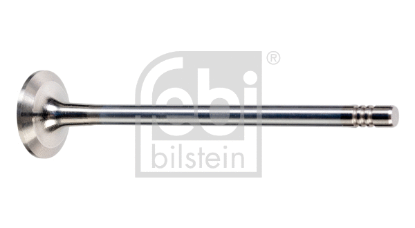 Exhaust Valve (176537)