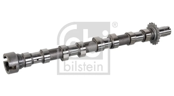 Camshaft (176294)
