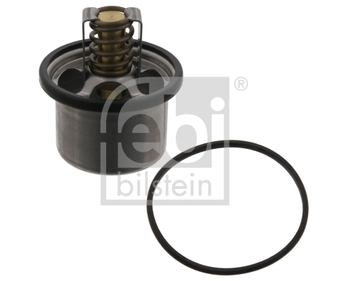Thermostat, coolant (11495)