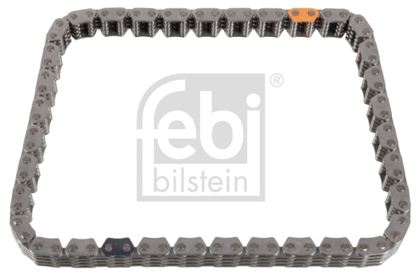 Timing Chain (100314)