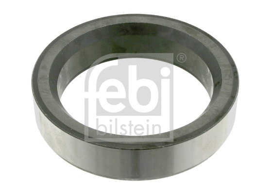 Ring, wheel hub (04454)