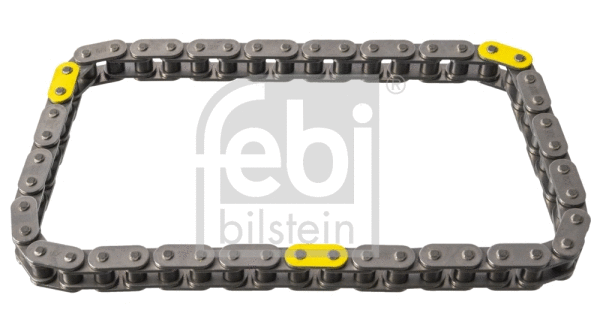 Timing Chain (100051)