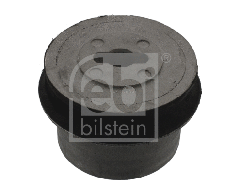 Mounting, control/trailing arm (21332)
