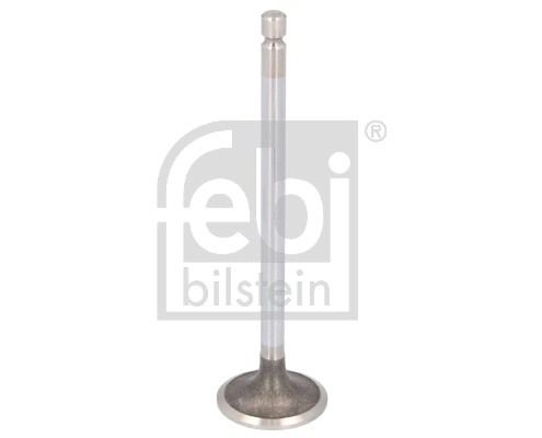 Intake Valve (183423)