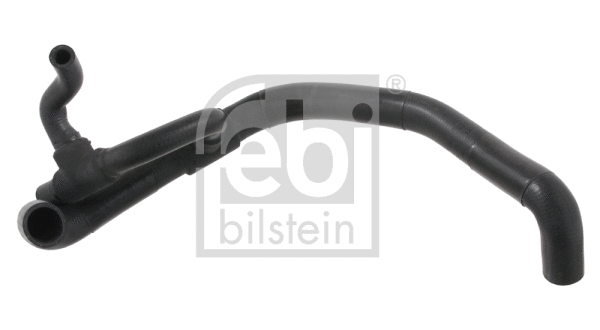 Radiator Hose (34768)