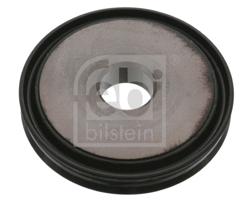 Shaft Seal, manual transmission (101286)