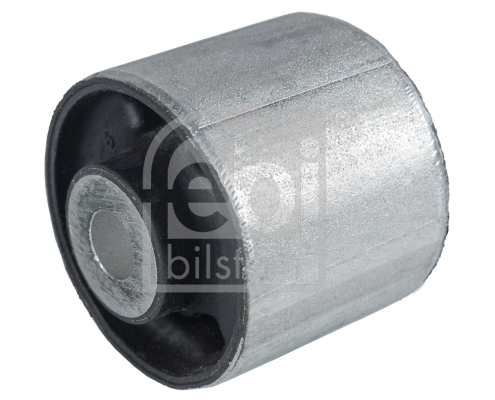 Mounting, differential (37949)