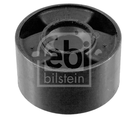 Mounting, control/trailing arm (06662)