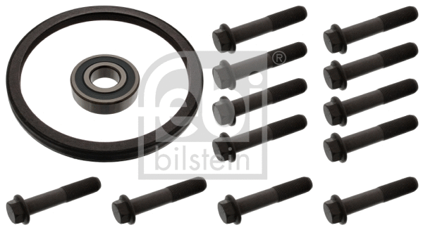 Repair Kit, flywheel (47987)