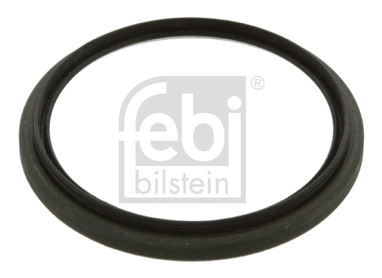 Seal Ring, steering knuckle (40738)