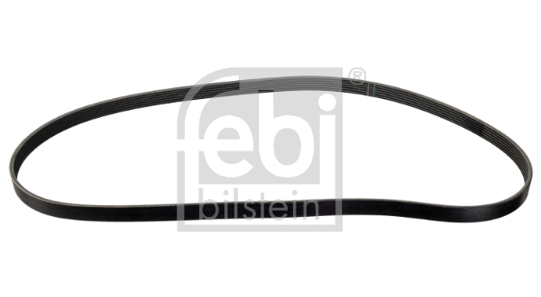 V-Ribbed Belt (177987)