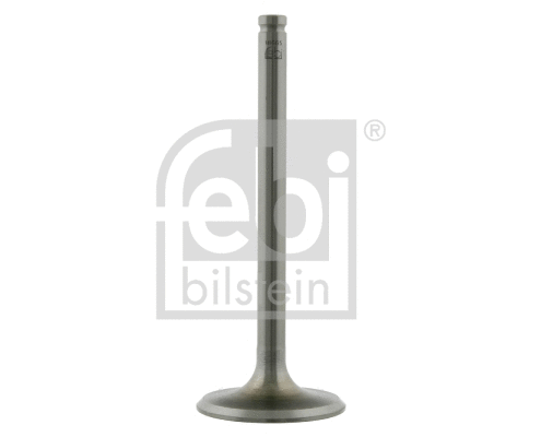 Intake Valve (18665)