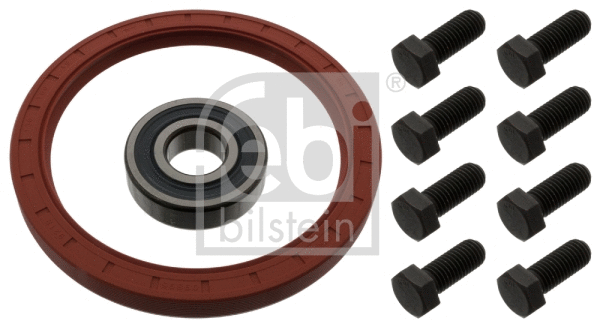 Repair Kit, flywheel (46347)