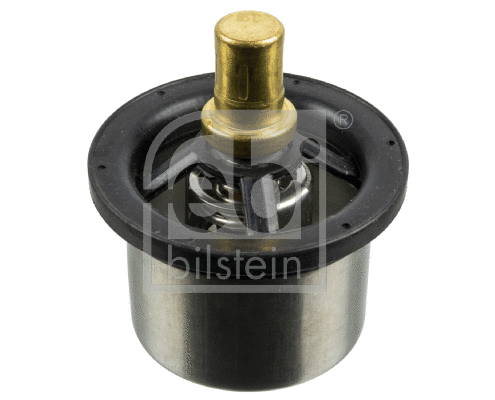 Thermostat, coolant (173719)