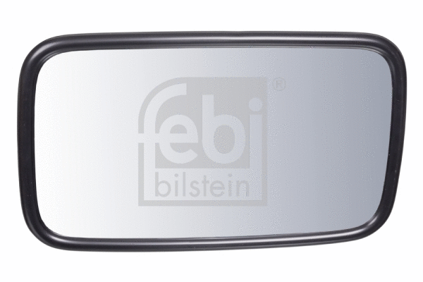 Exterior Mirror, driver cab (101388)