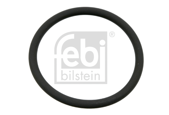 Gasket Kit, timing case (22567)