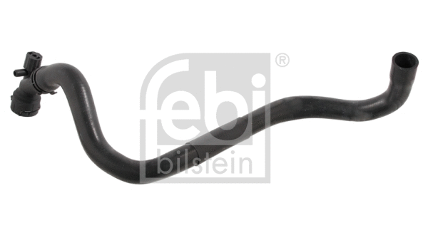Radiator Hose (32119)