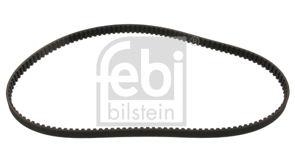 Timing Belt (17813)