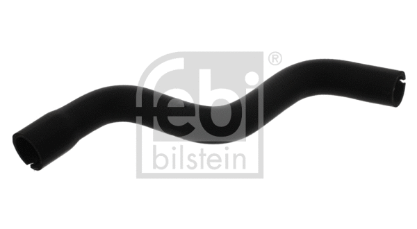 Radiator Hose (38588)