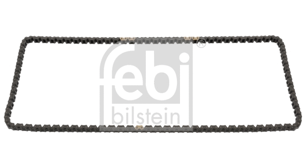 Timing Chain (49574)