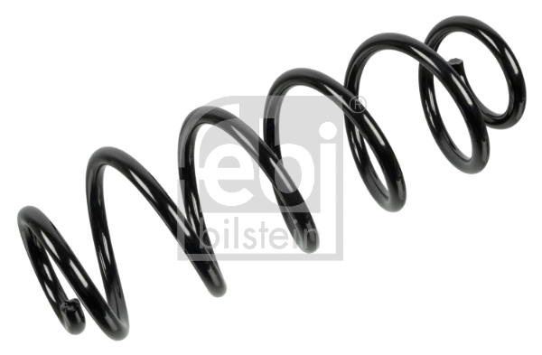 Suspension Spring (174722)