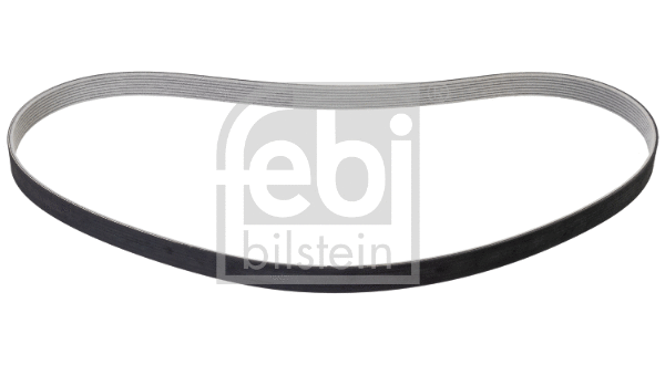 V-Ribbed Belt (177034)