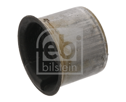 Mounting, control/trailing arm (33973)