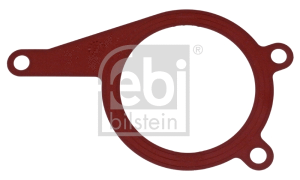 Gasket, vacuum pump (100511)