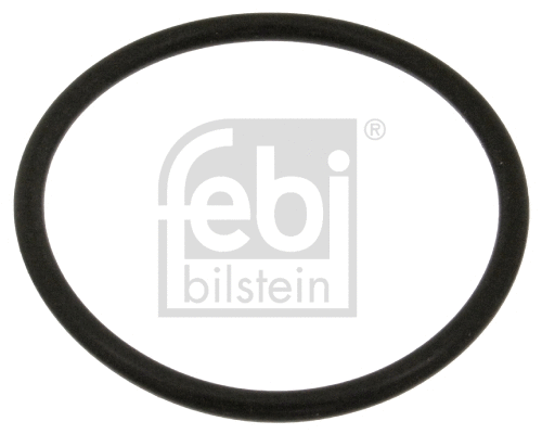 Gasket, coolant flange (18774)