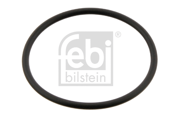 Seal Ring (28357)