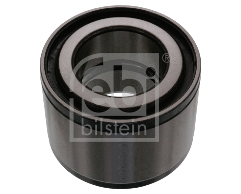 Wheel Bearing (100733)