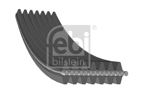 V-Ribbed Belt (34464)